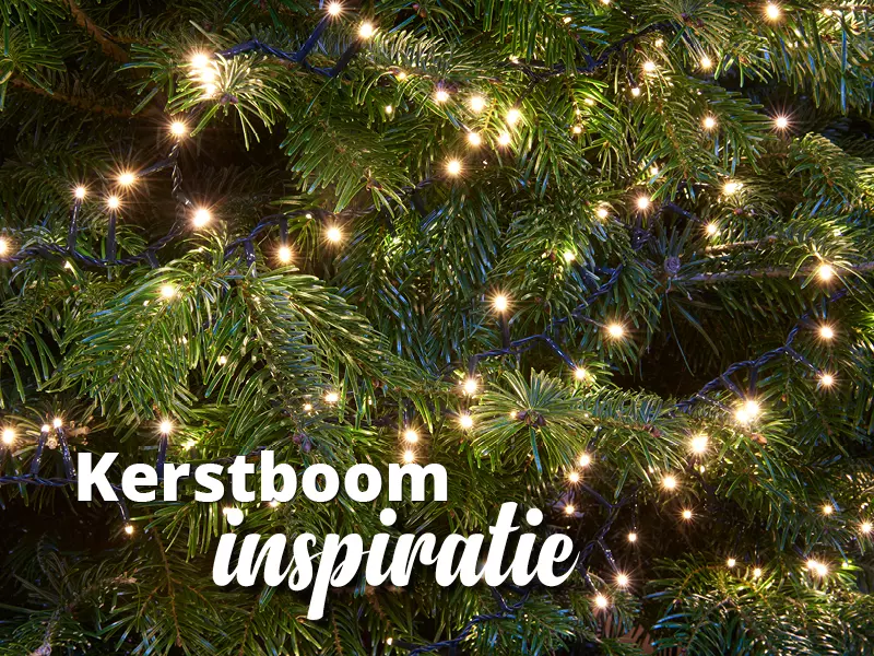 Kerstboom inspiratie GroenRijk